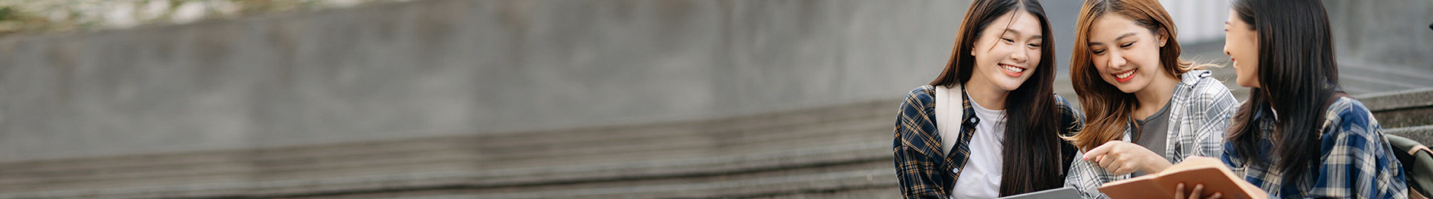 page banner