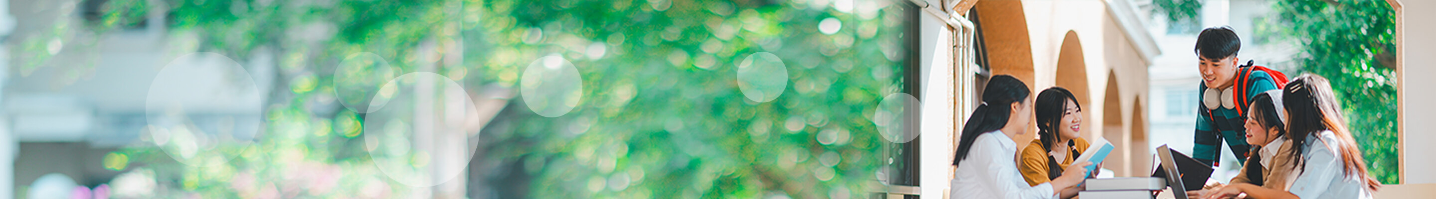 page banner